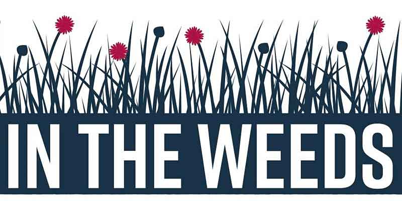 In the Weeds Logo